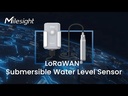 Sensor submergible de nivell d'aigua LoRaWAN 868 MHz. IP66. 10 anys de bateria